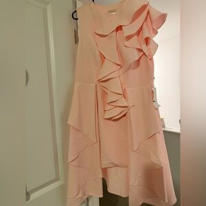 Elegant Pink Ruffle Dress
